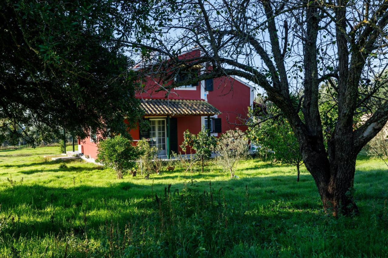 Fridas Place Halikounas Exterior photo